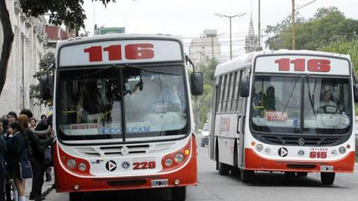 116 colectivo