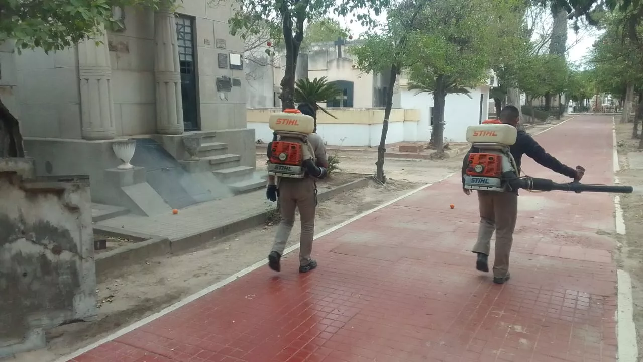 cementerio La Piedad fumigación