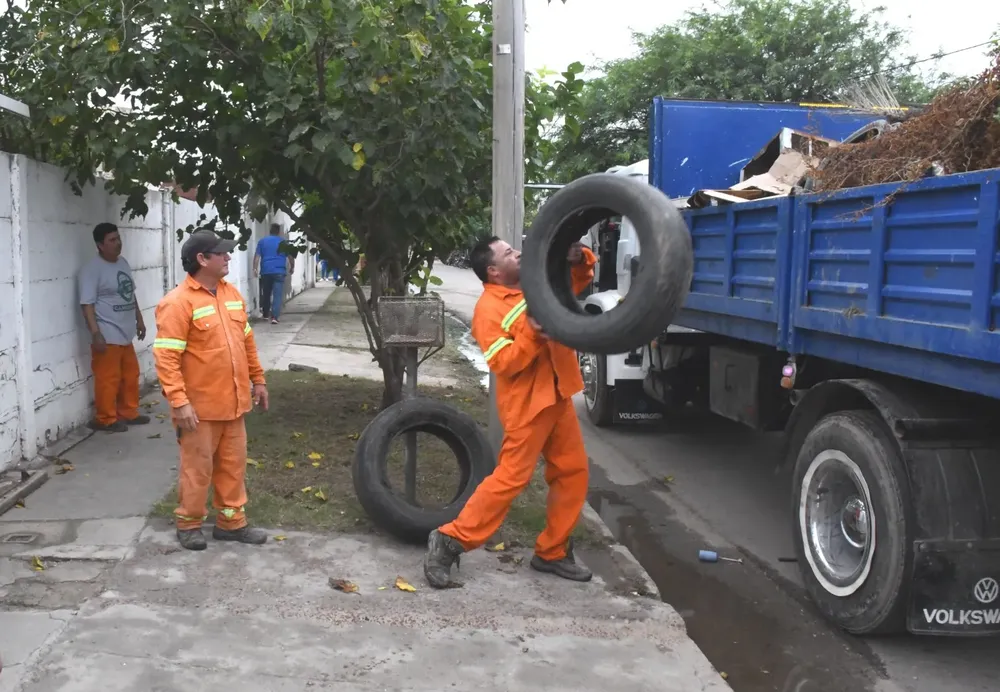 tarreas de descacharreo