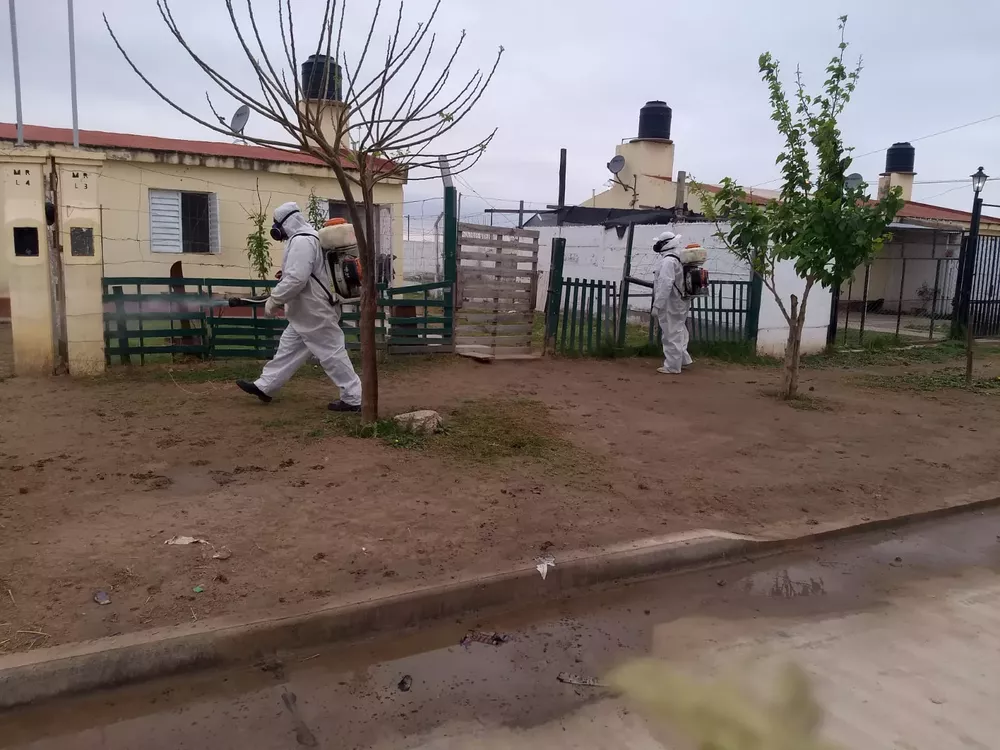 fuigaciones ciudad