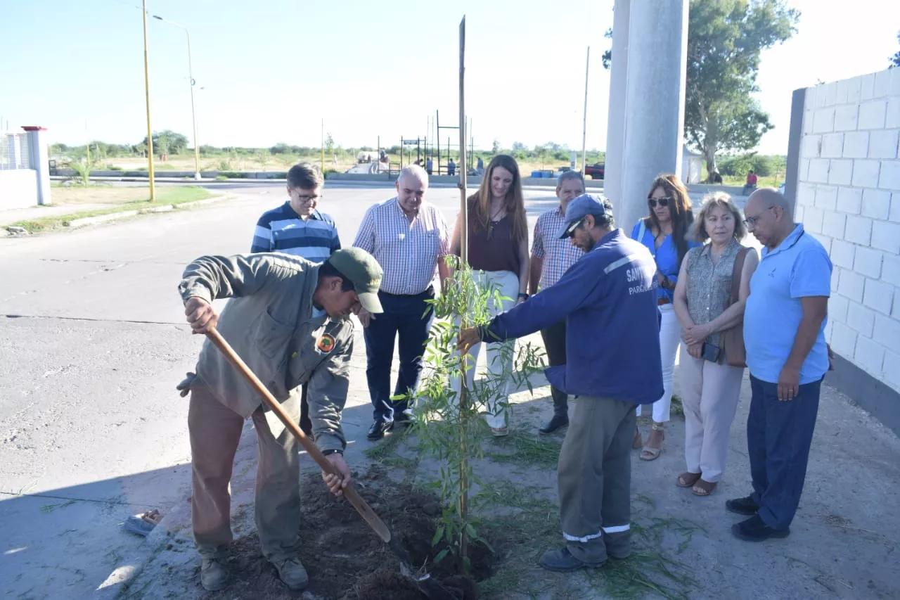conmemoración día bosques