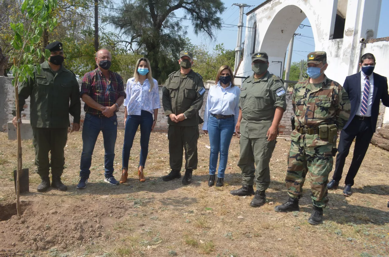 planta gendarmeria