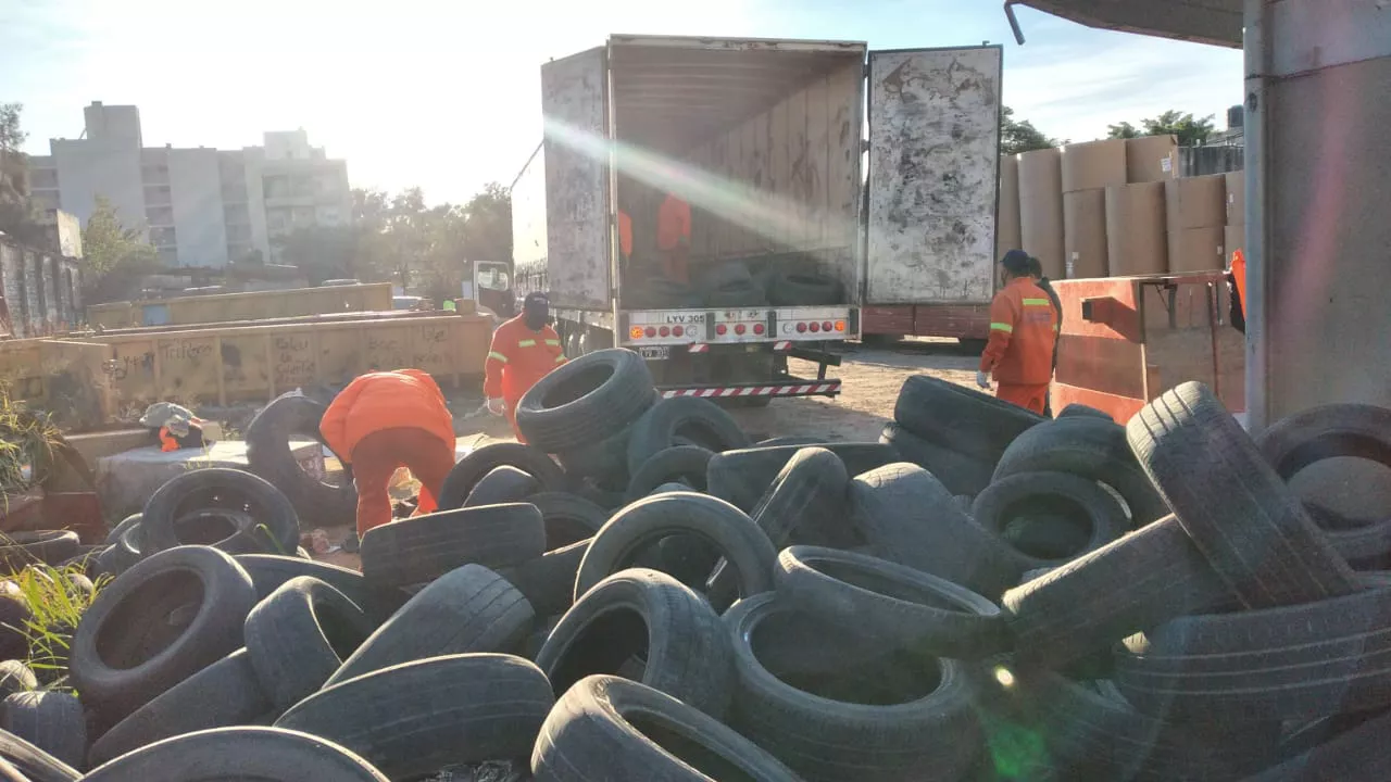neumaticos para reciclado