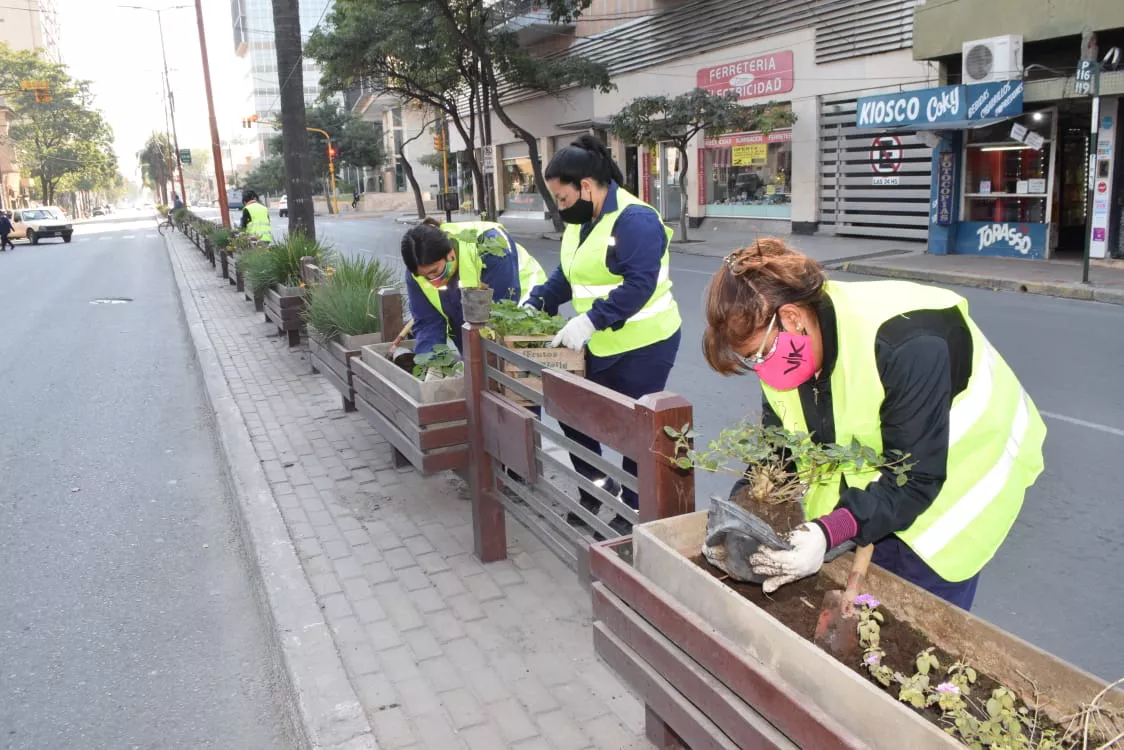 platabanda belgrano flores