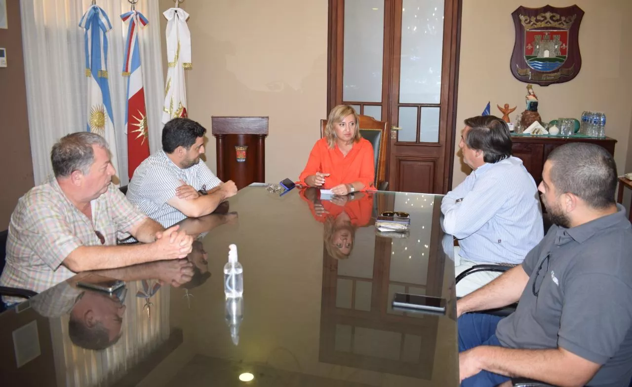 Intendente Senasa