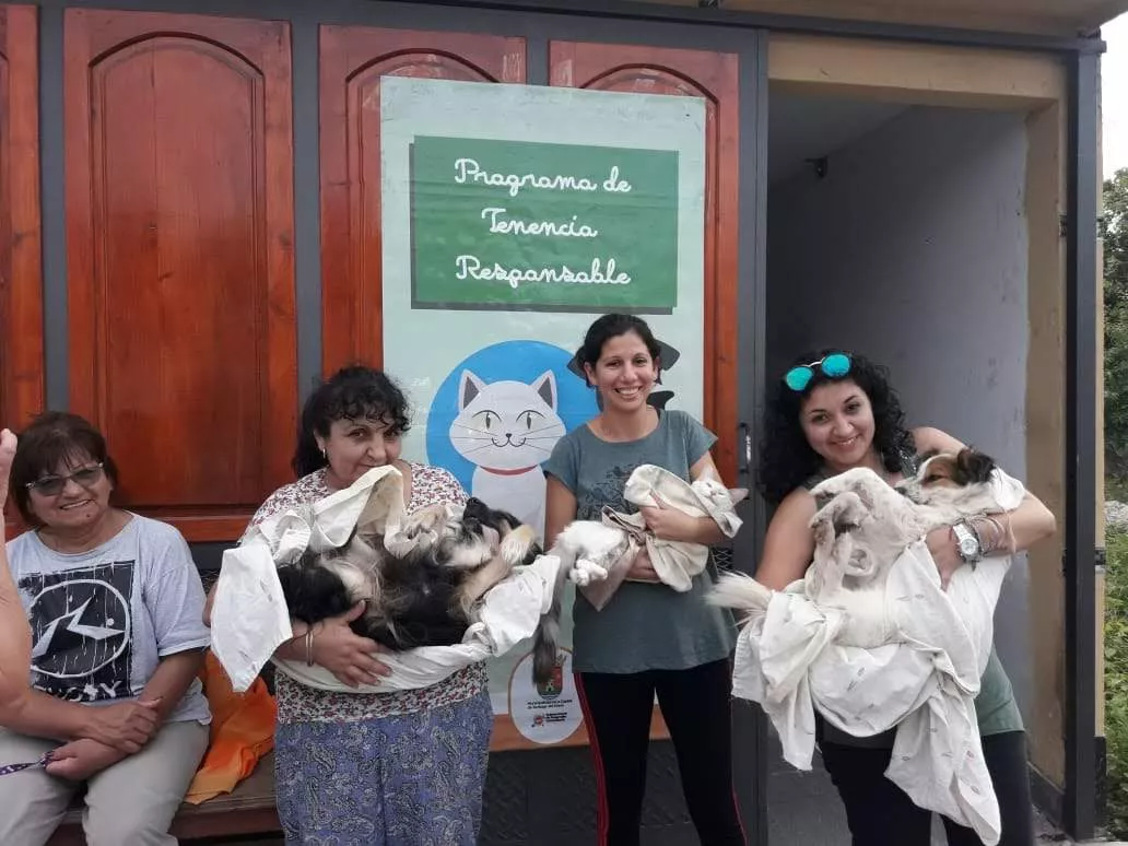 programa municipal castraciones