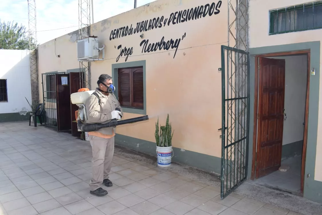 fumigaciones7