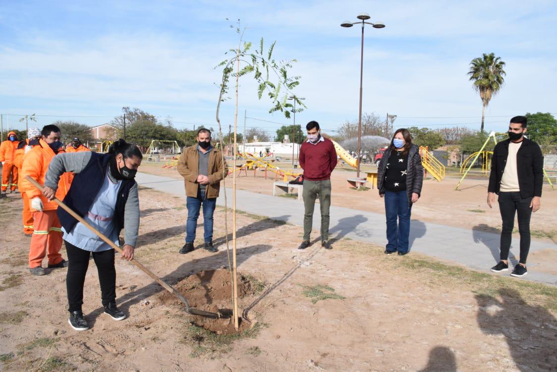 plantacion campo contreras