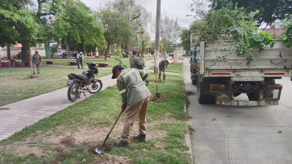 plantación JuanXXIII