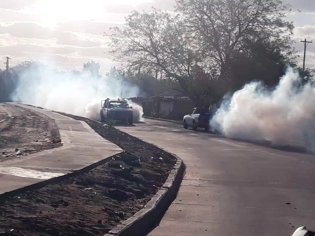 fumiga tareas