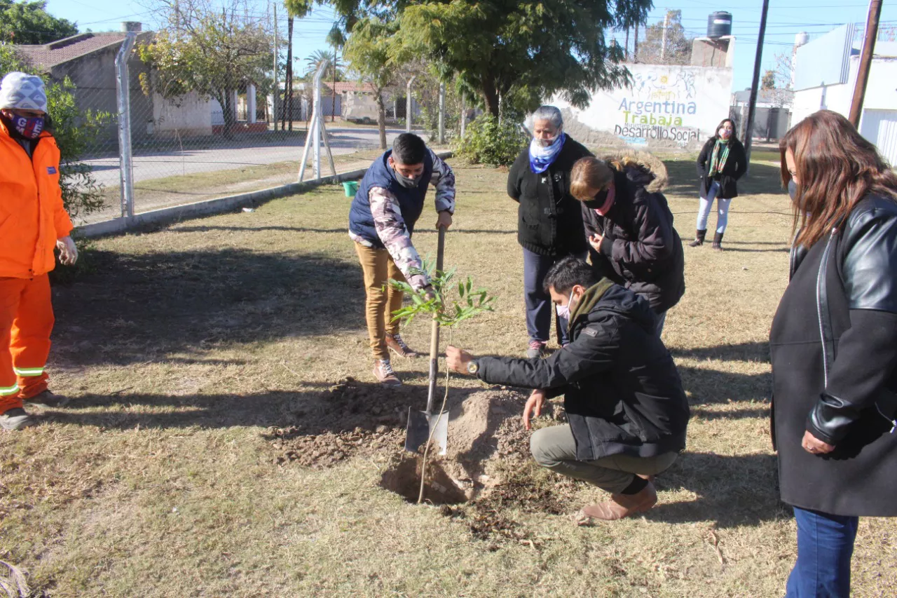 plantacion tradicion