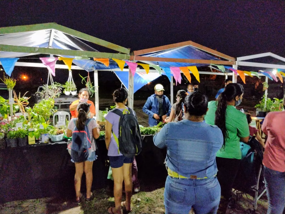 feria de nividad
