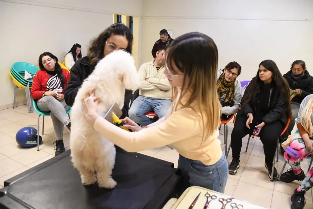 AUXILIAR PELUQUERIA CANINA