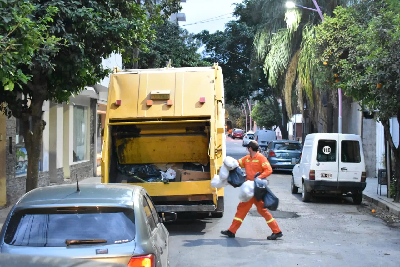 recoleccion servicios