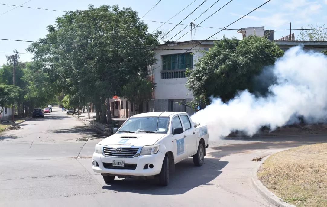 fumigados