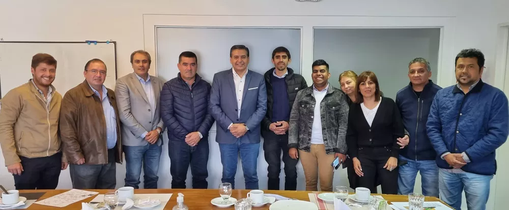 comisionados