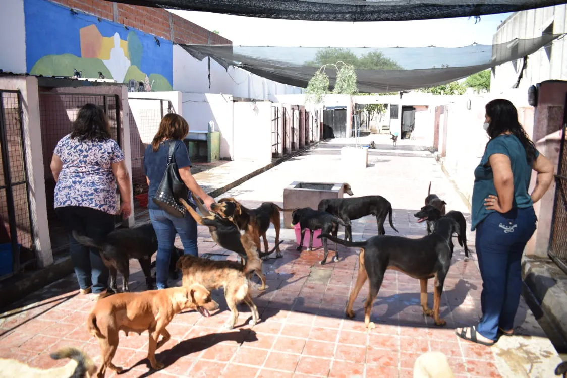 zoonosis municipalidad