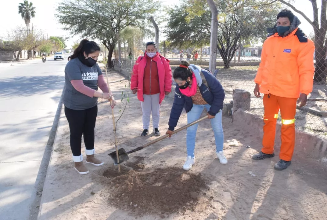 Plantaciones