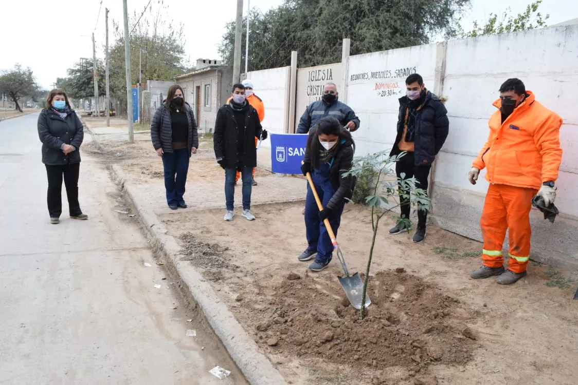 dia del arbol mensaje