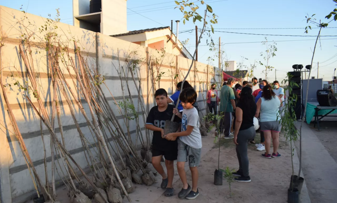 entrega de árboles
