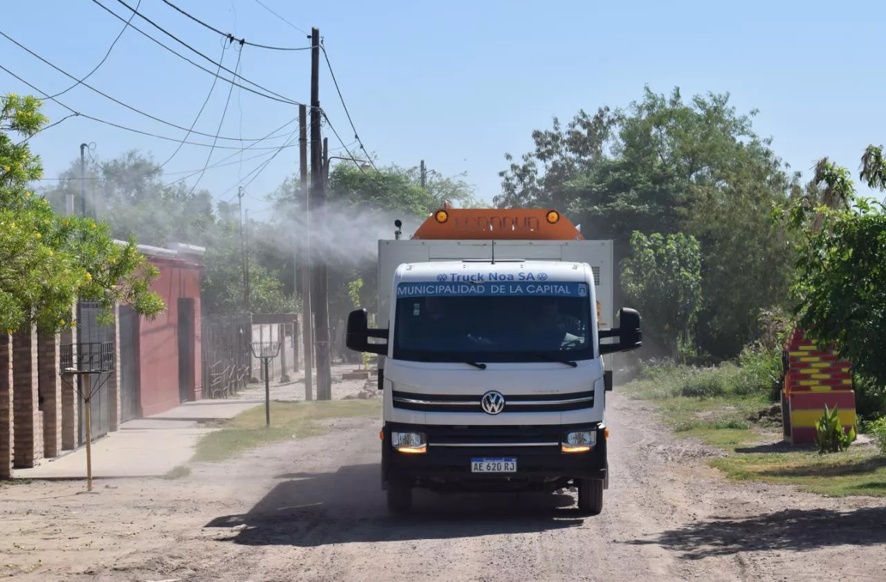 fumigaciones 10