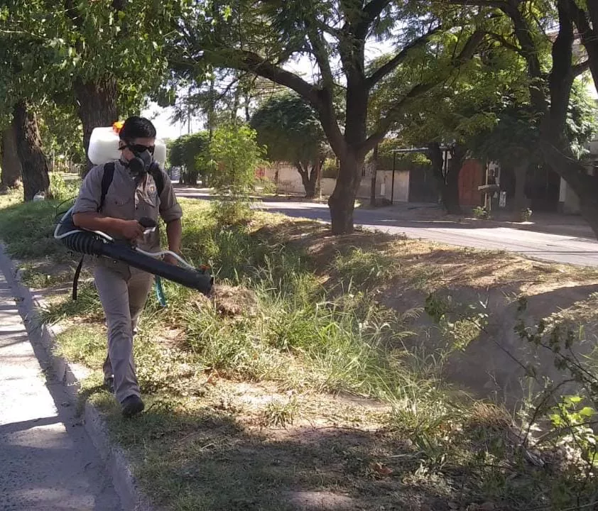 fumigación desague