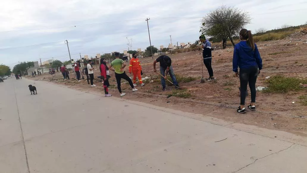 plantacion2