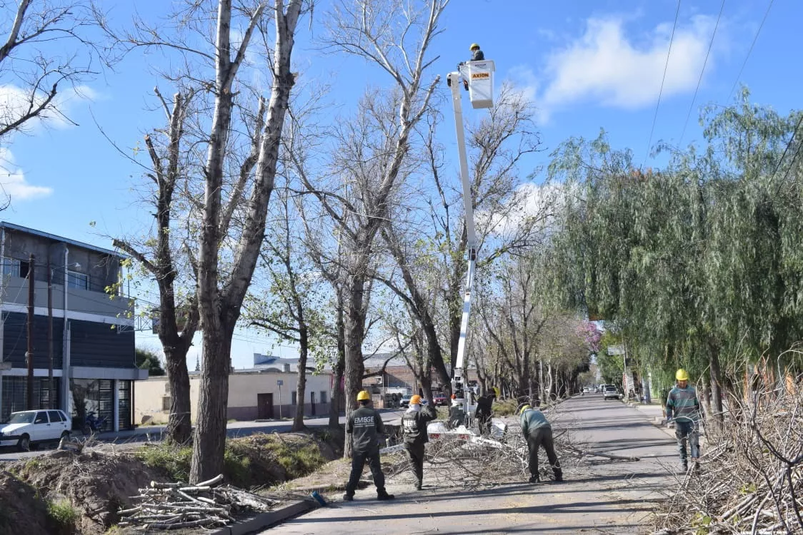poda Av. Aguirre