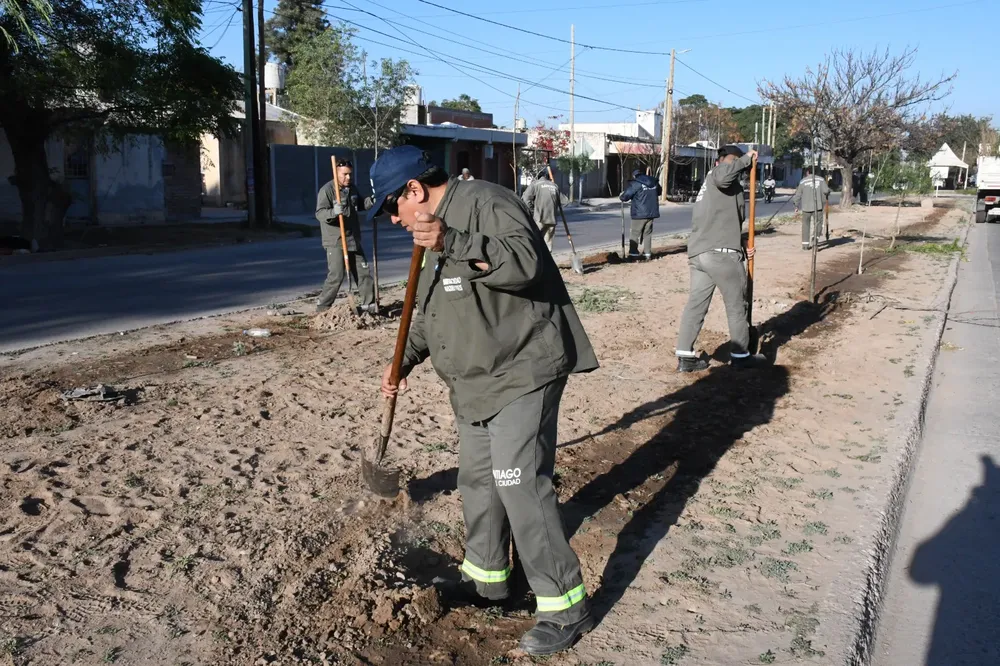 plantacion