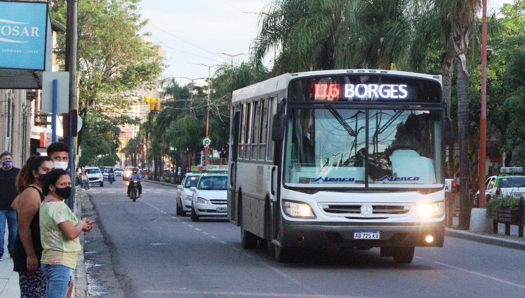 colectivos 3