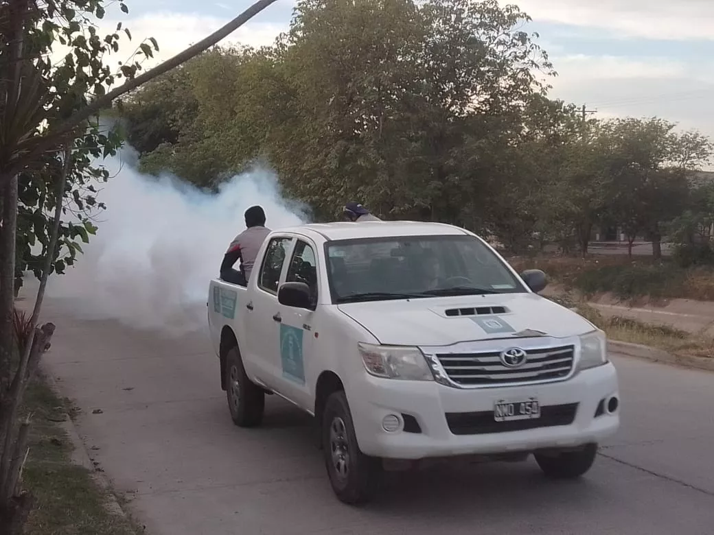 fumiga25