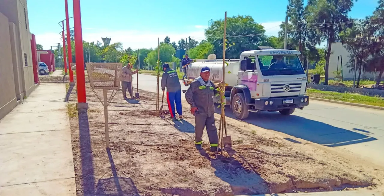 plantaciones barrio Islas Malvinas