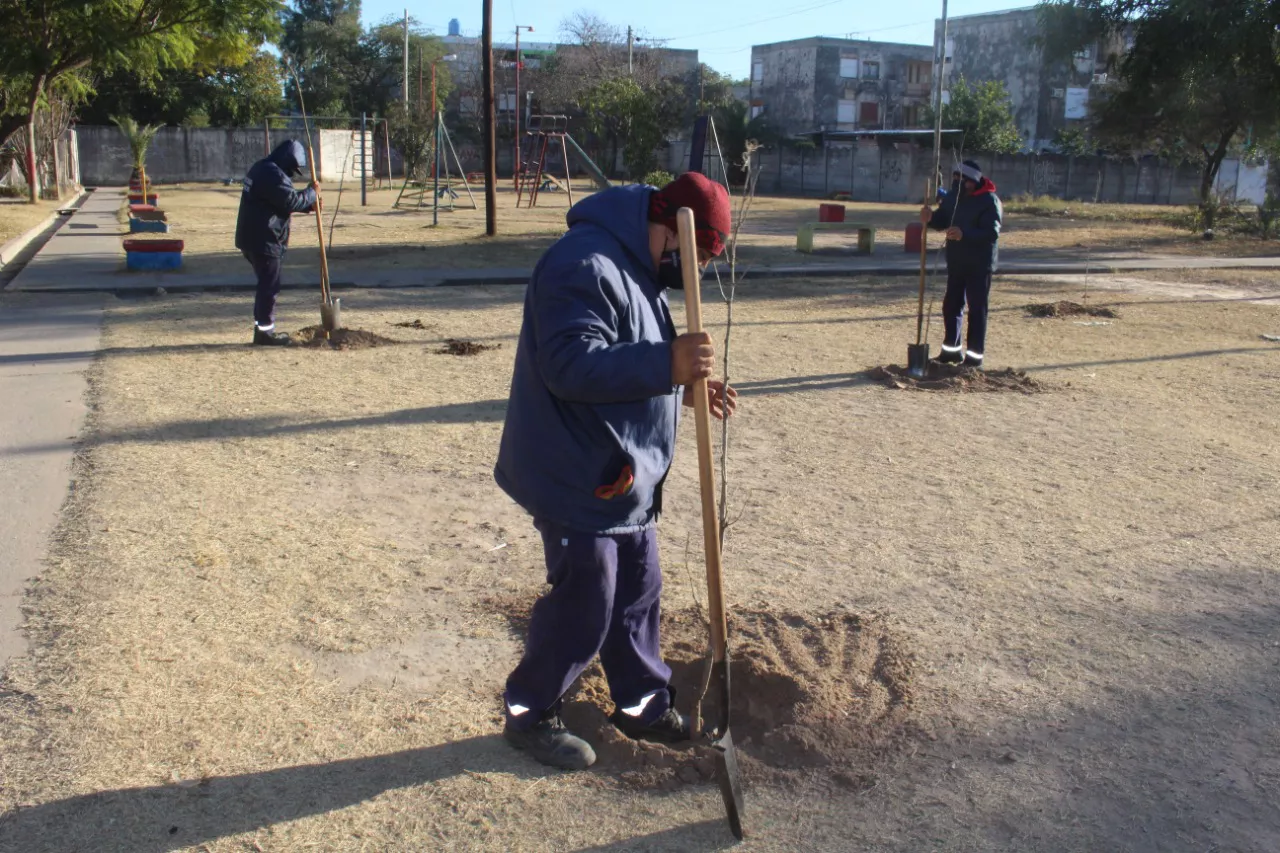 plantacion b autonomia