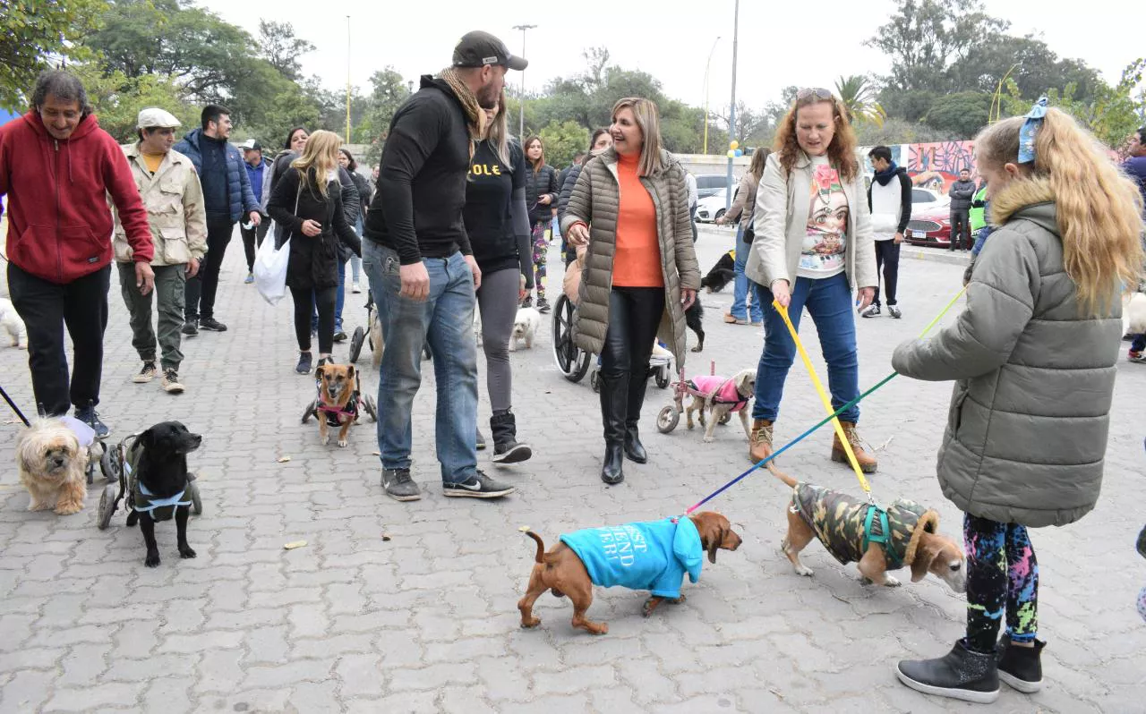 fuentes y caminata canina