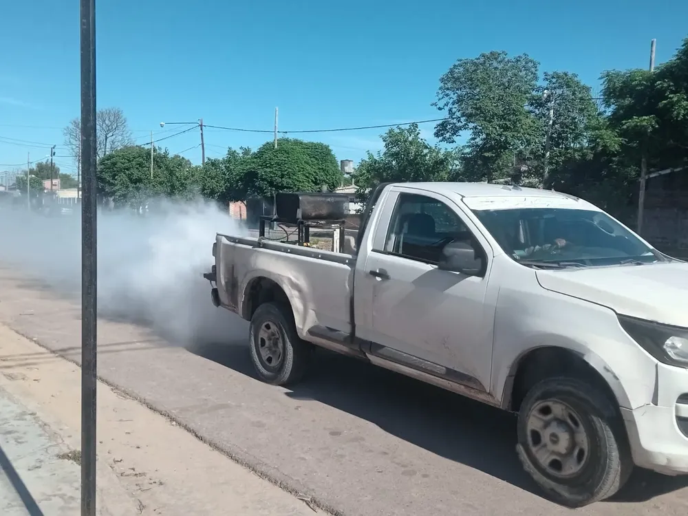 fumiga20