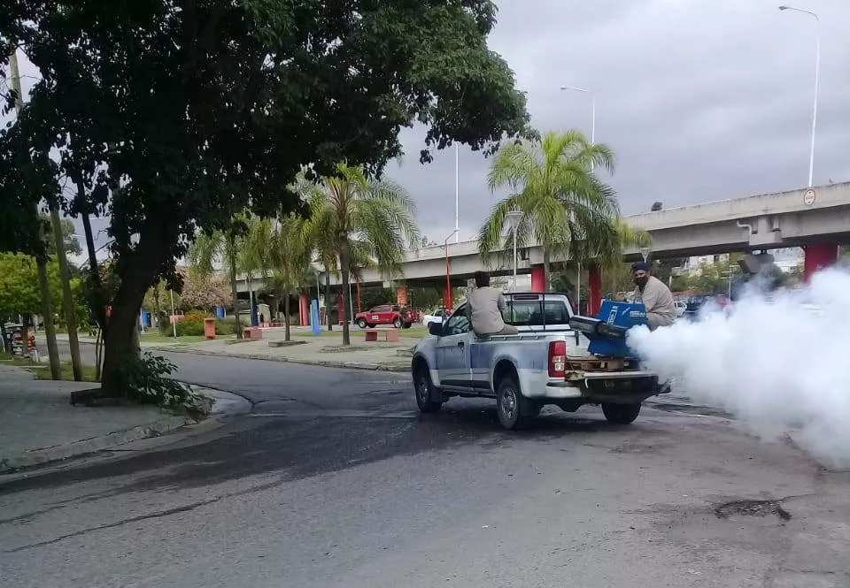 fumiga24