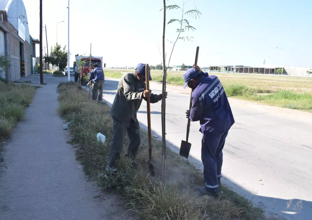 ultima plantacion del año