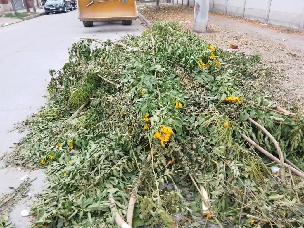 PARQUES Y PASEOS (2)