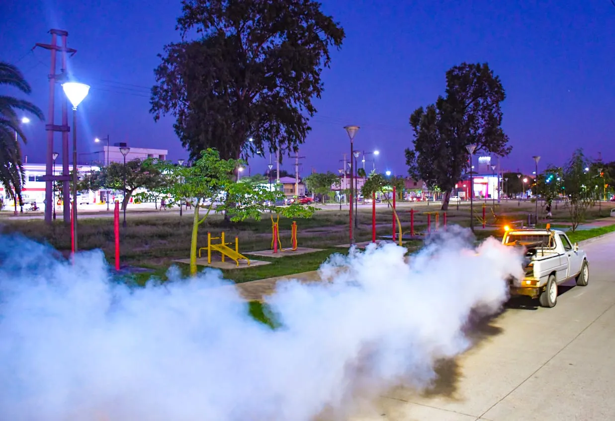 semana fumiga completa