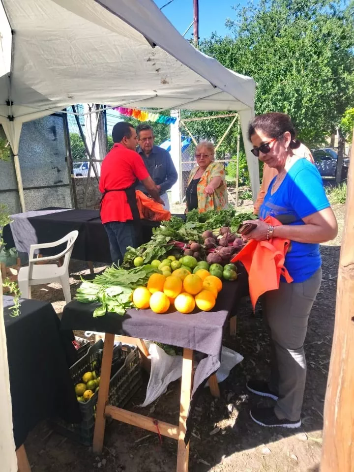 feria de productores