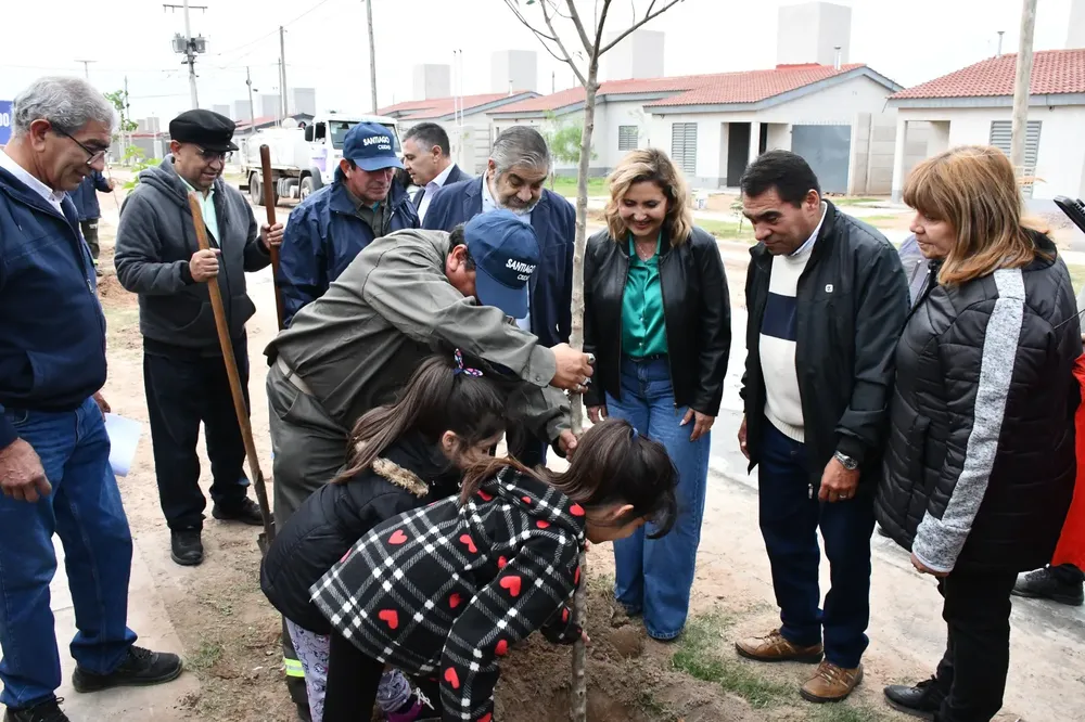 plantacion 2023