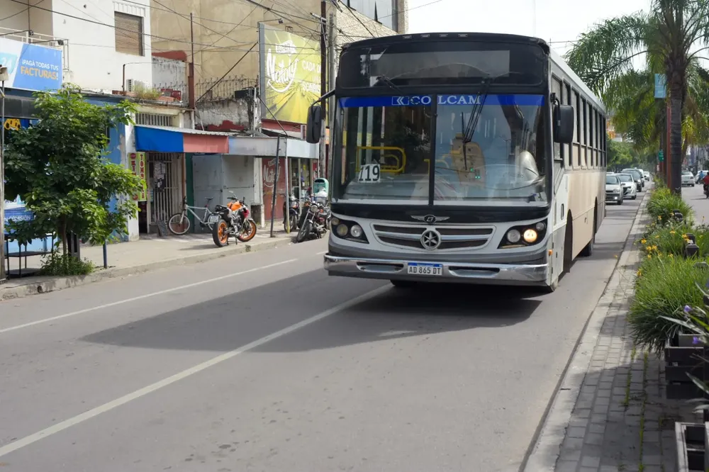 colectivos