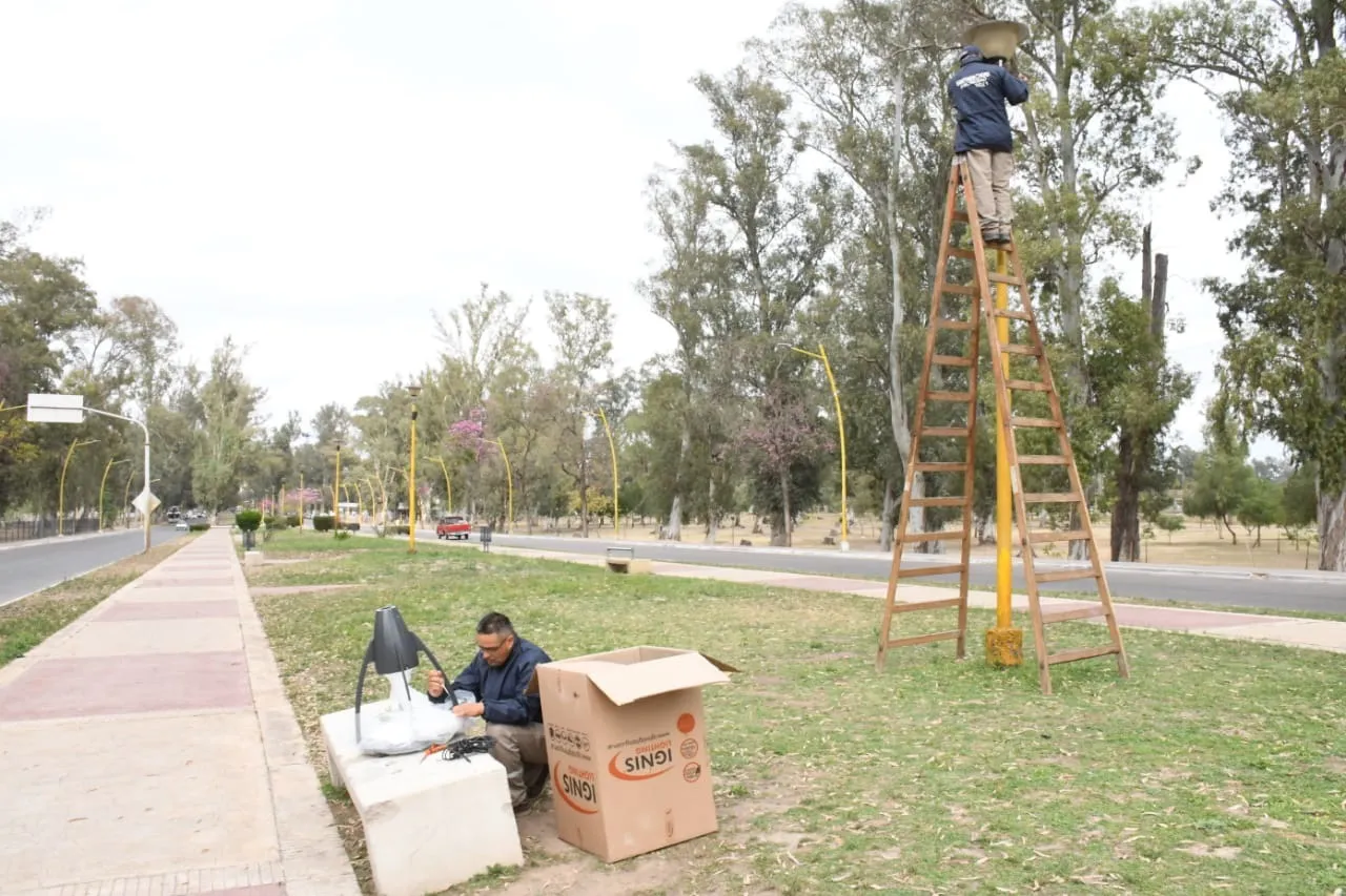 reconversión lumínica parque
