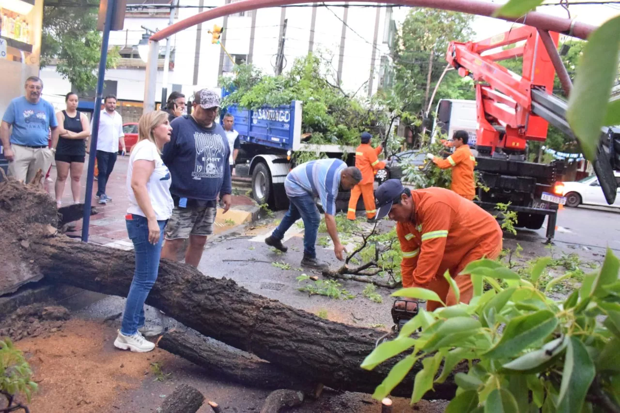 comite de emergencia