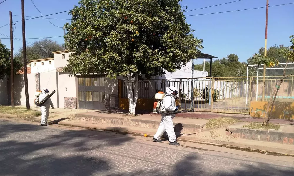 fumigacion de la semana