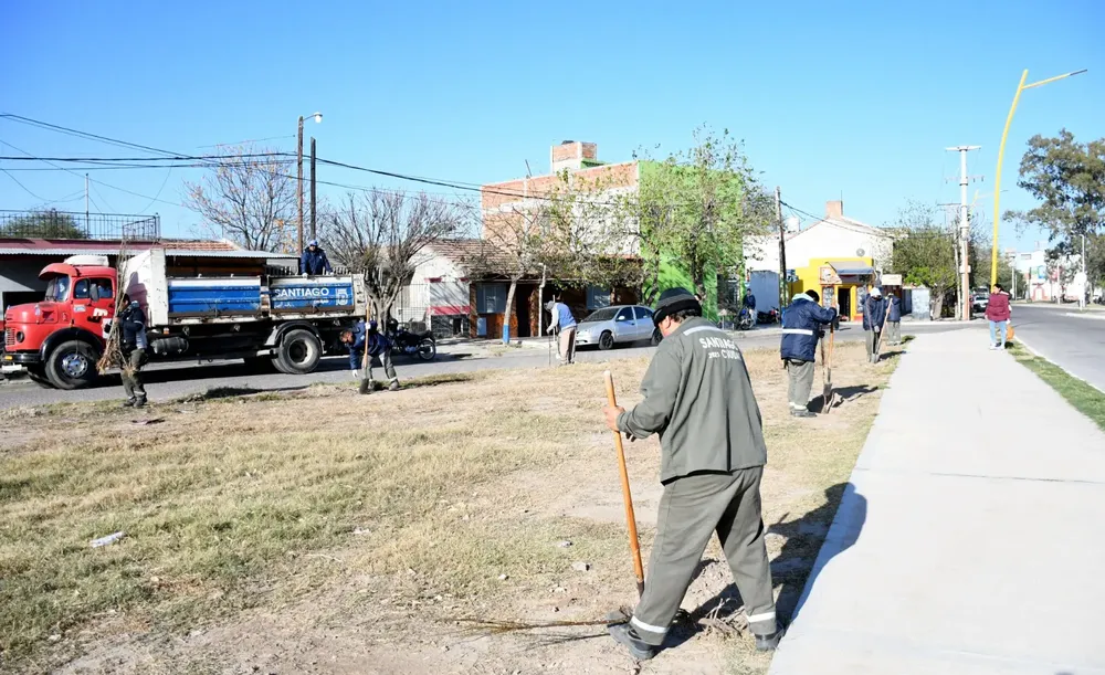barrio caceres arbolado