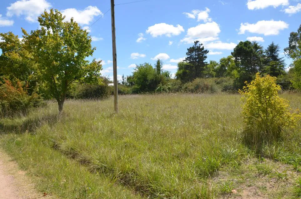 terreno