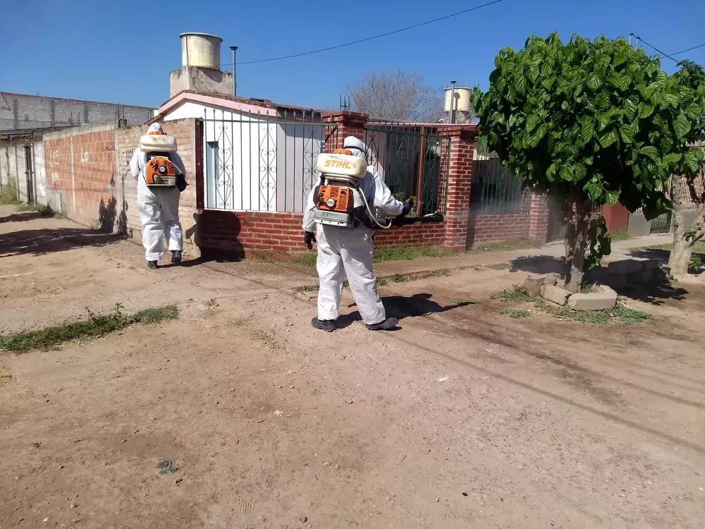 fumigaciones semana