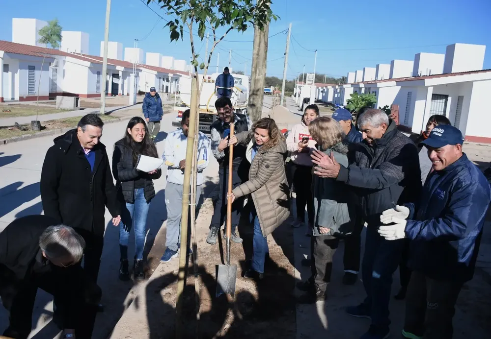 Plantación René Favaloro
