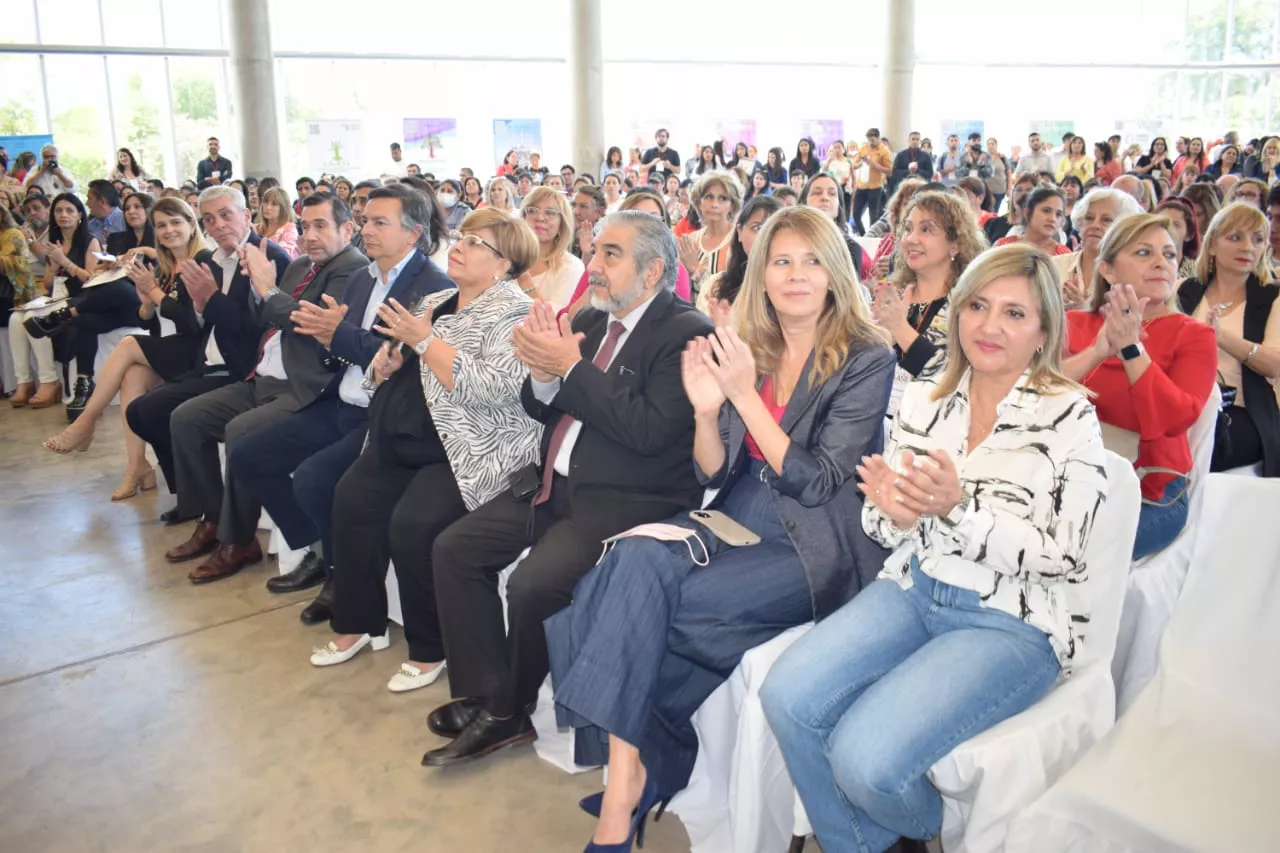 fuentes plenario adicciones